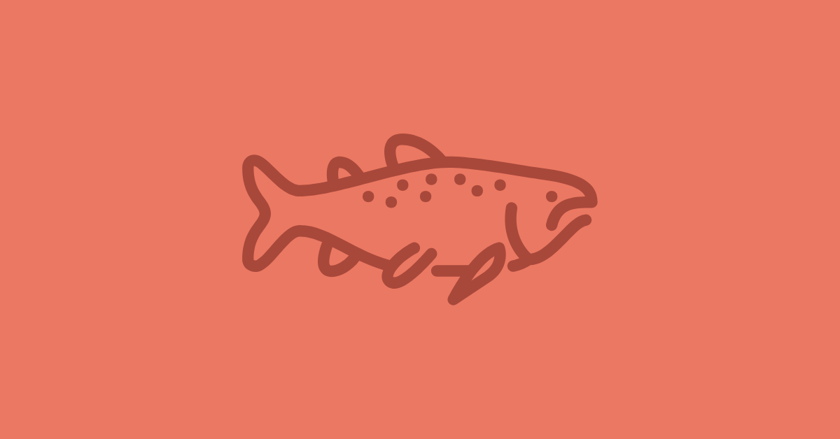 Cured Salmon